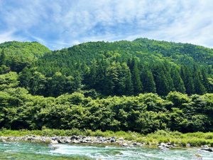 【SDGs×森林】森を守るための取り組み・私たちにできることとは？