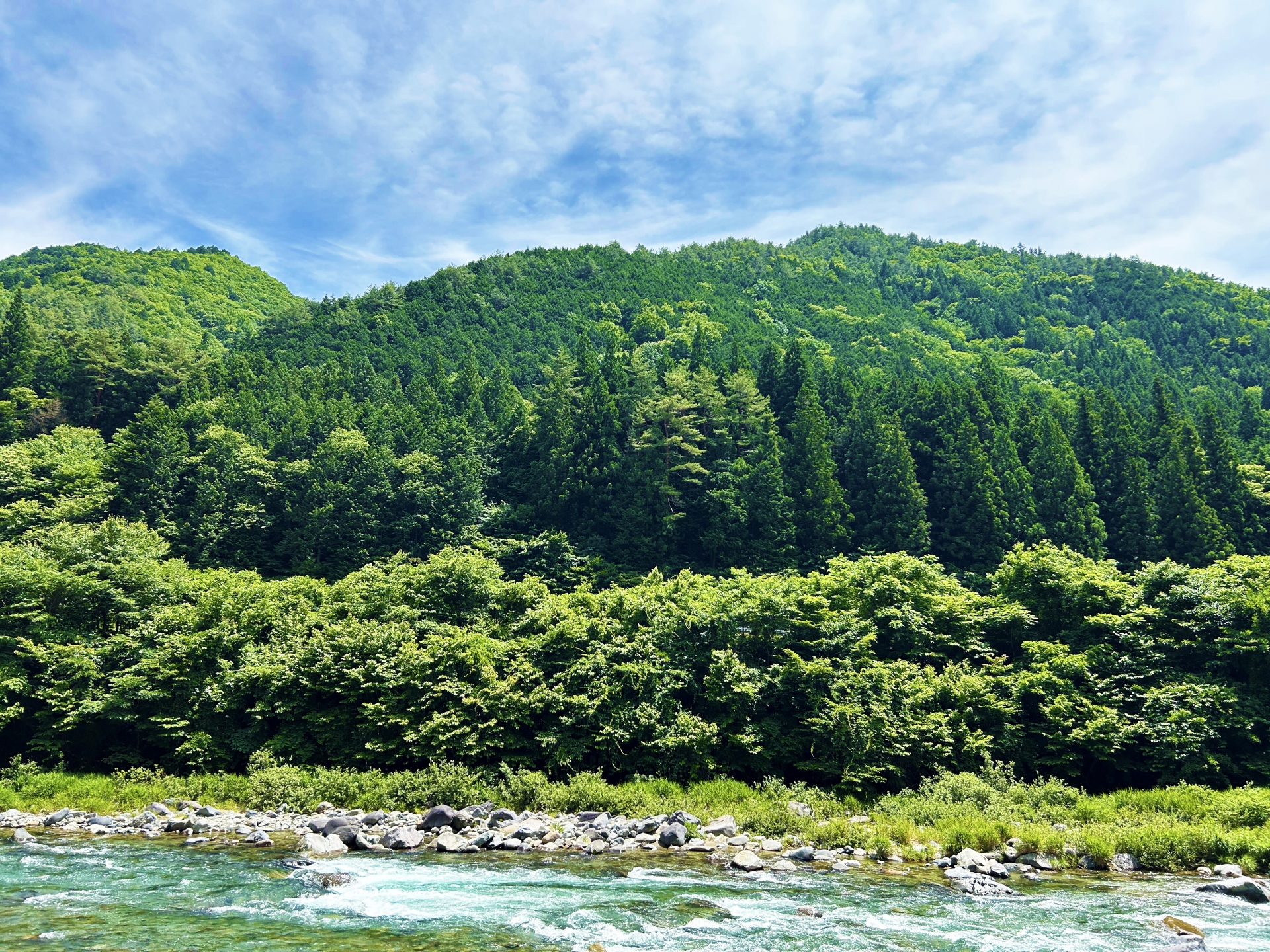 【SDGs×森林】森を守るための取り組み・私たちにできることとは？