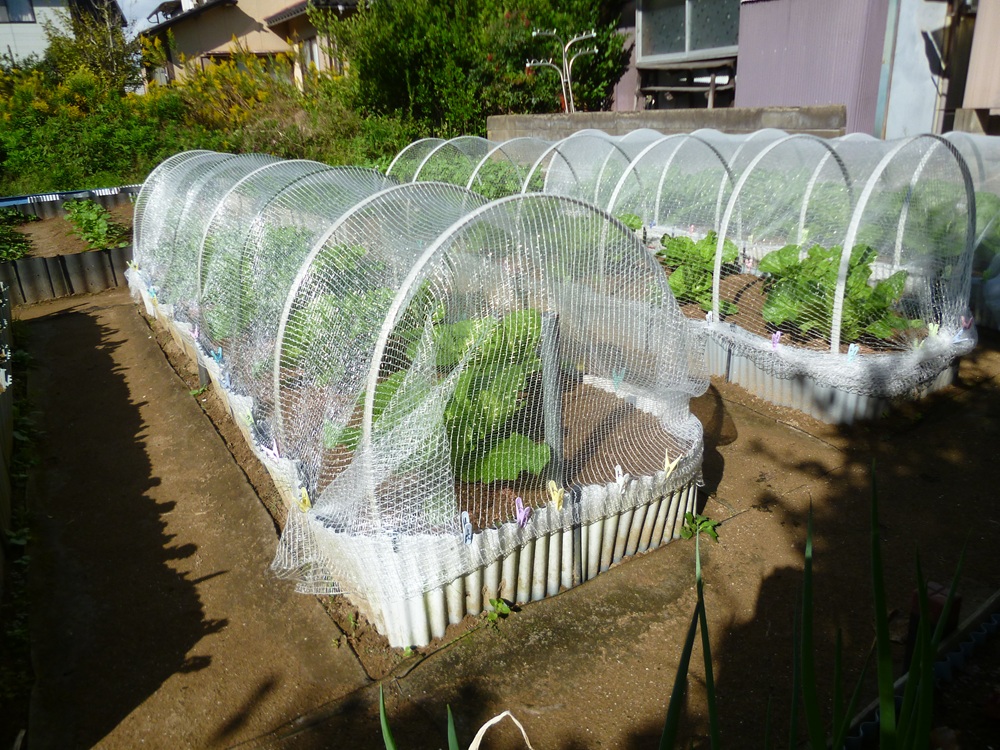 防虫ネット