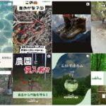 グリーンコップインスタ投稿