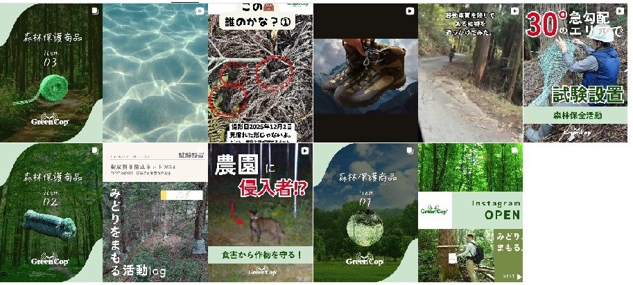 グリーンコップインスタ投稿