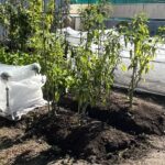 虫よけくんワイド