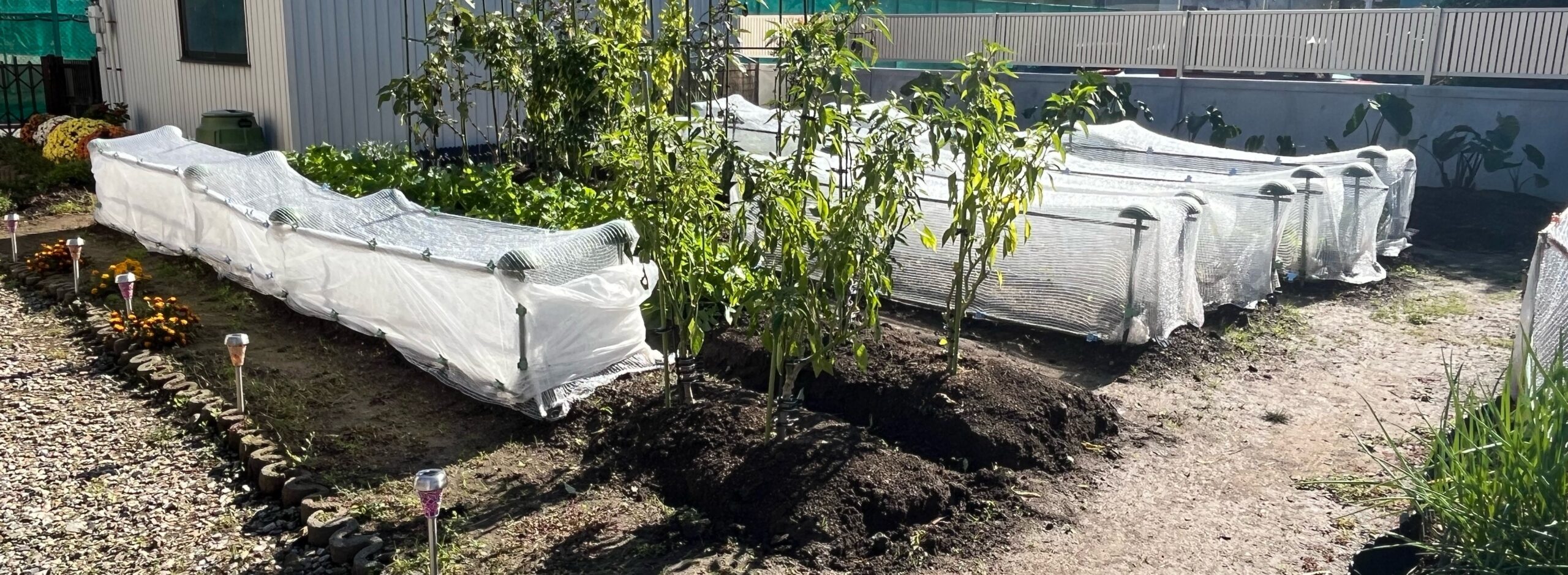 虫よけくんワイド