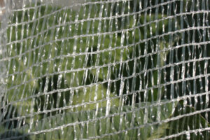 防虫ネット糸目合い