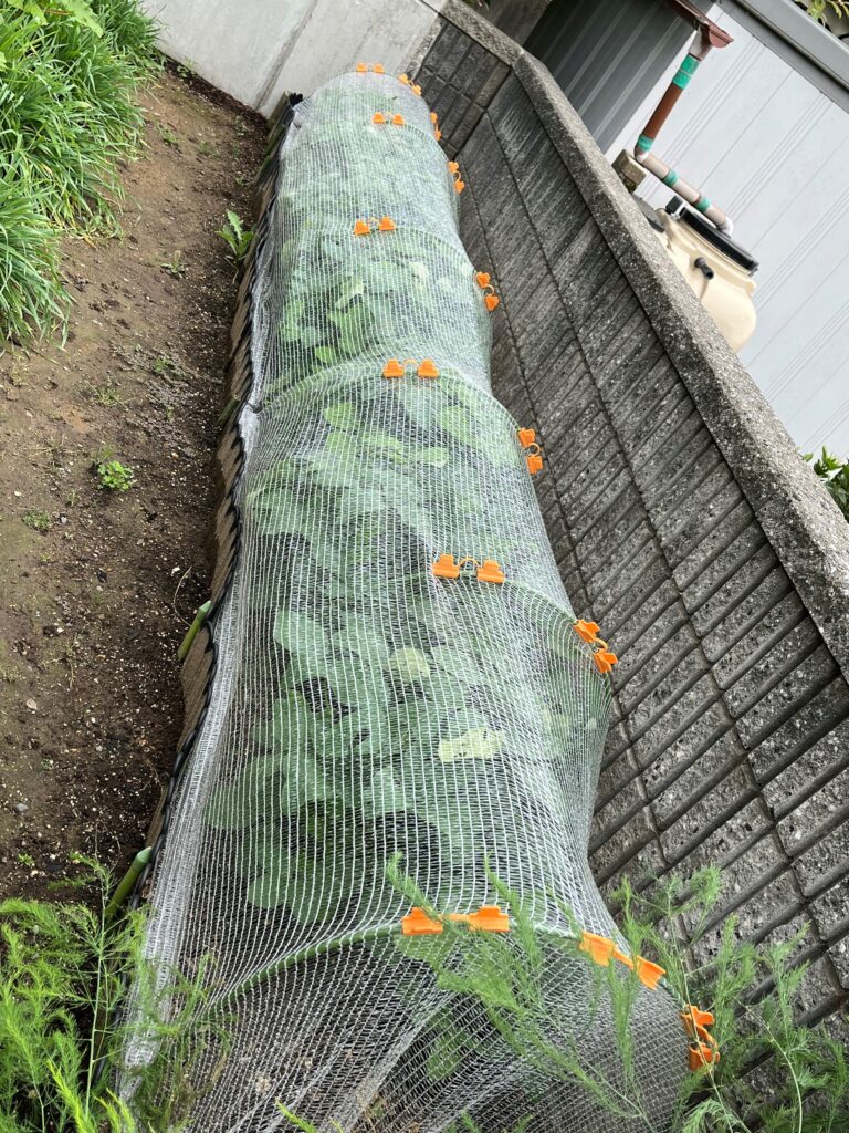 防虫ネット虫よけくん