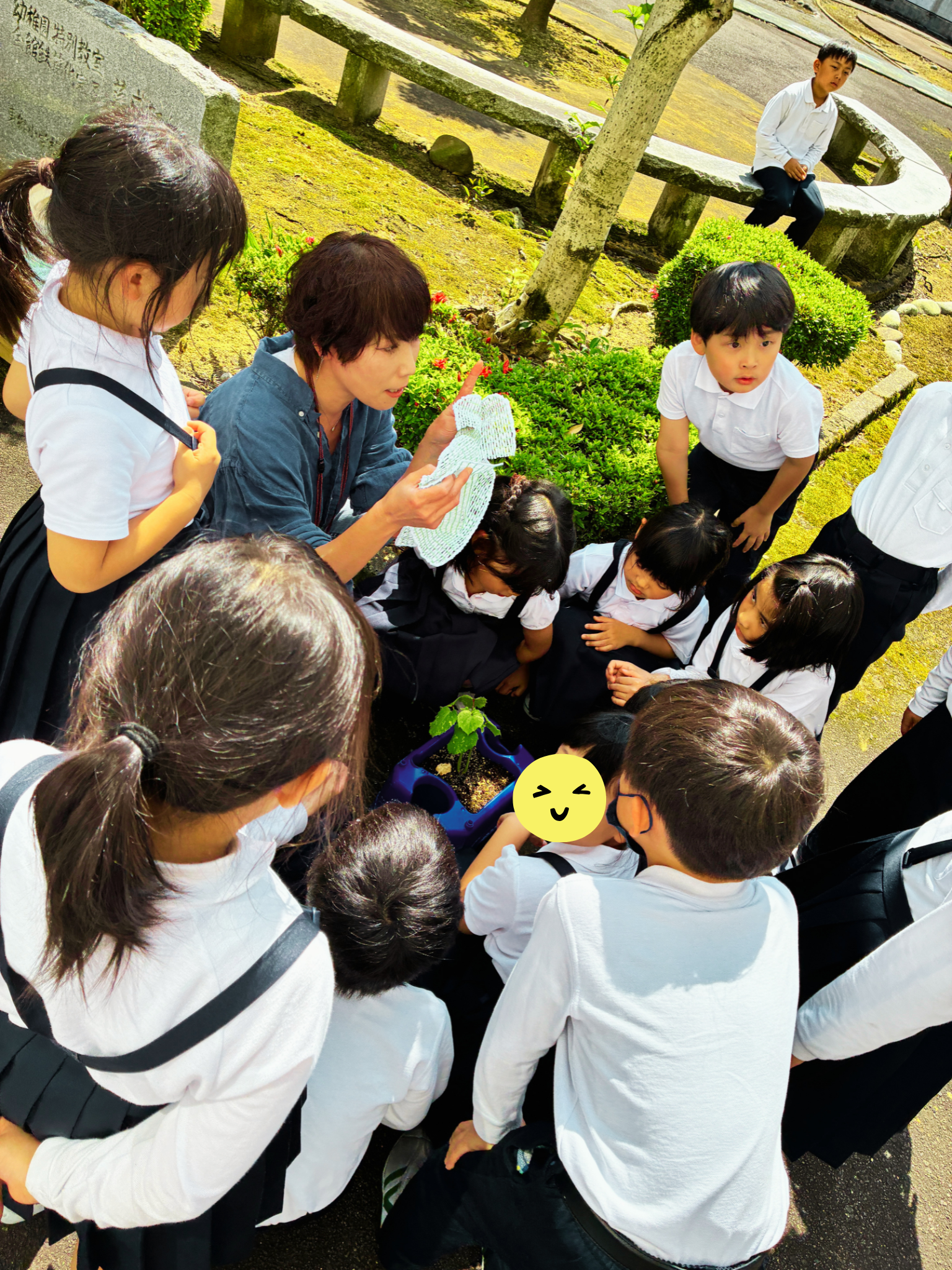 小学校出張講座