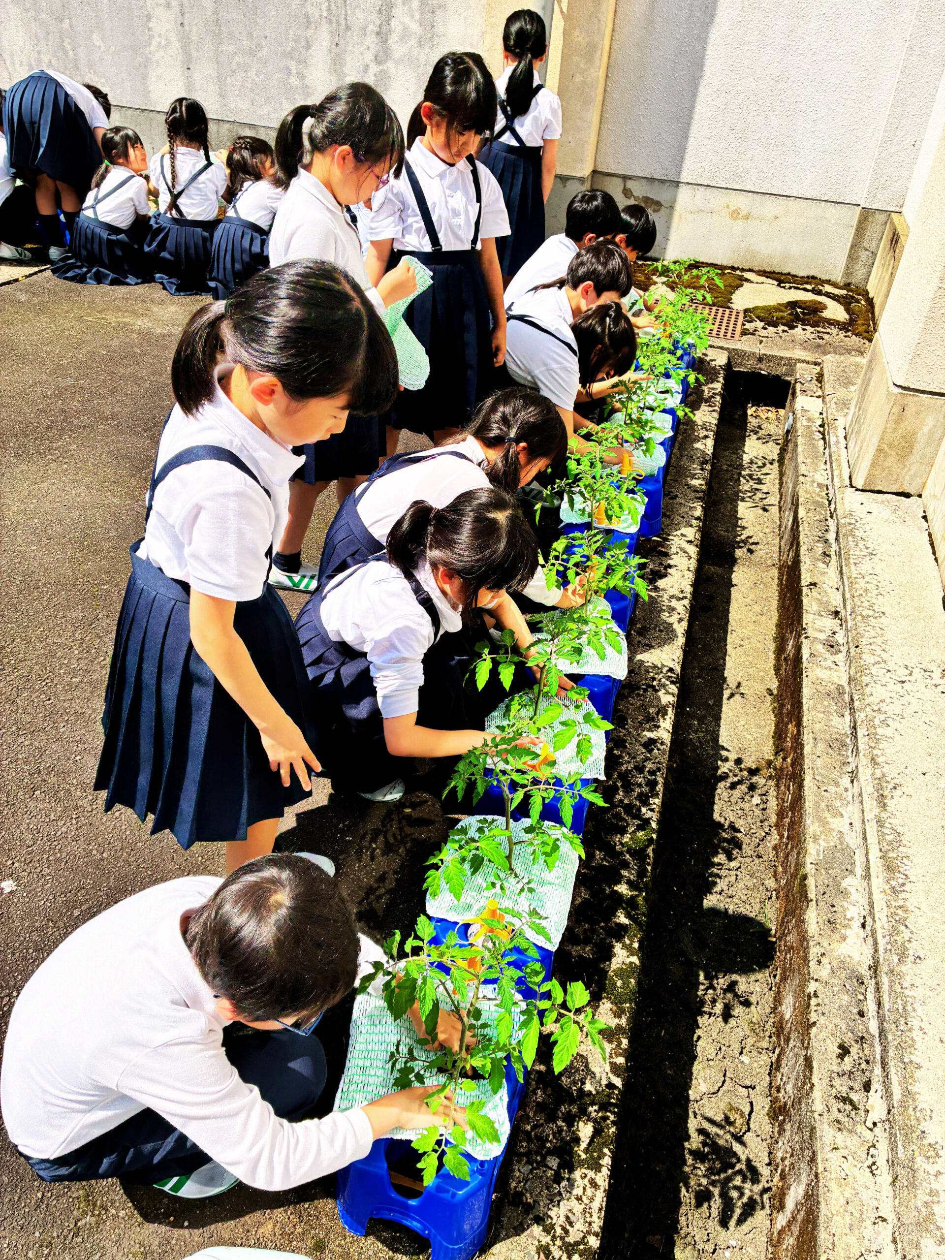 小学校出張講座