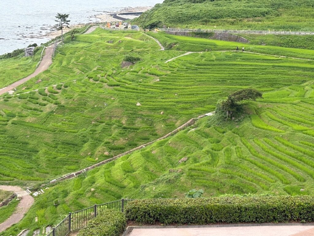 能登千枚田画像