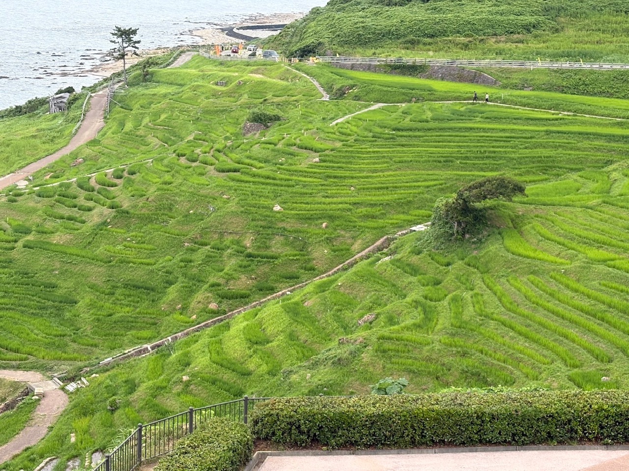 能登千枚田画像