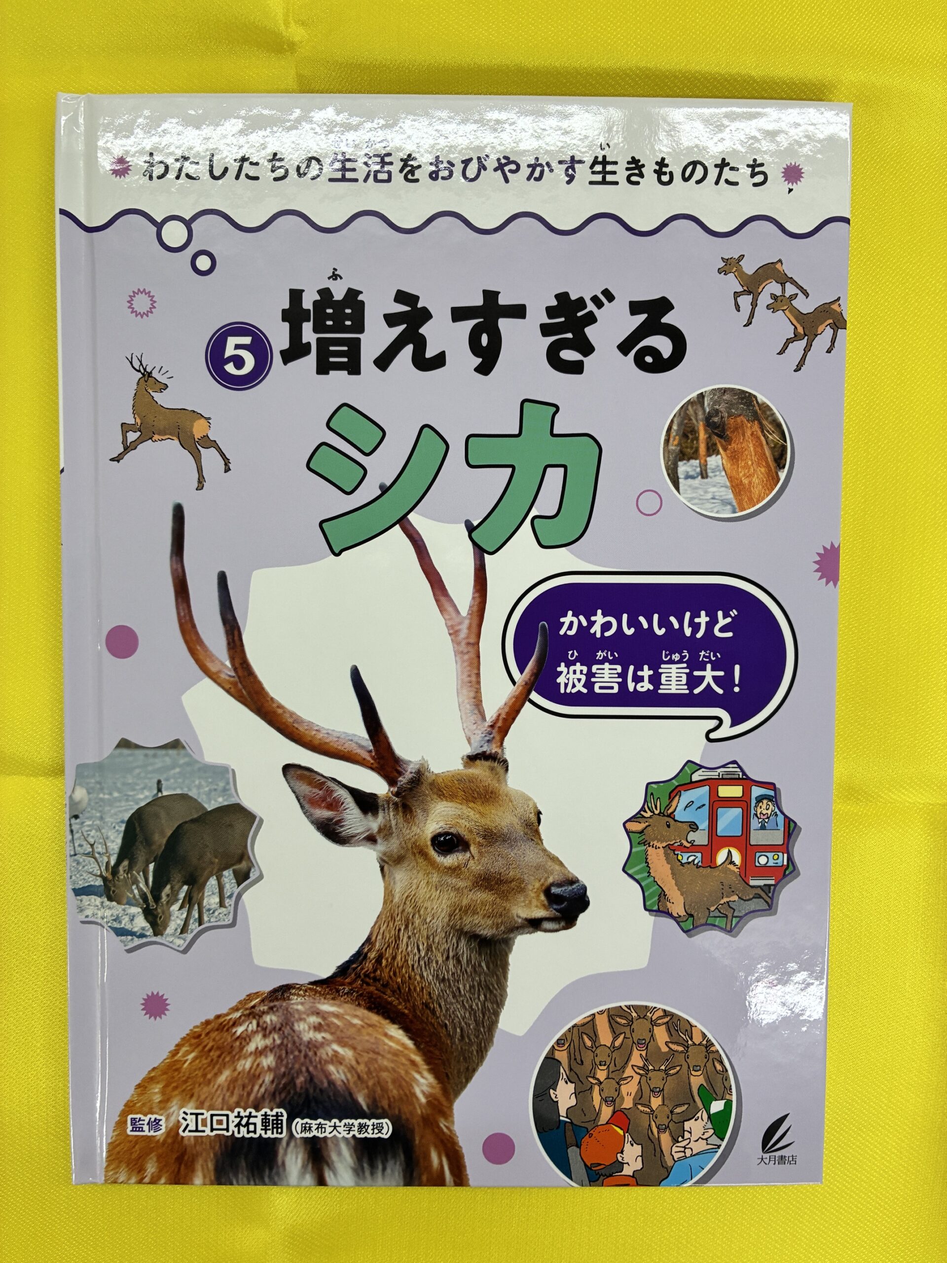 増えすぎるシカ図書画像